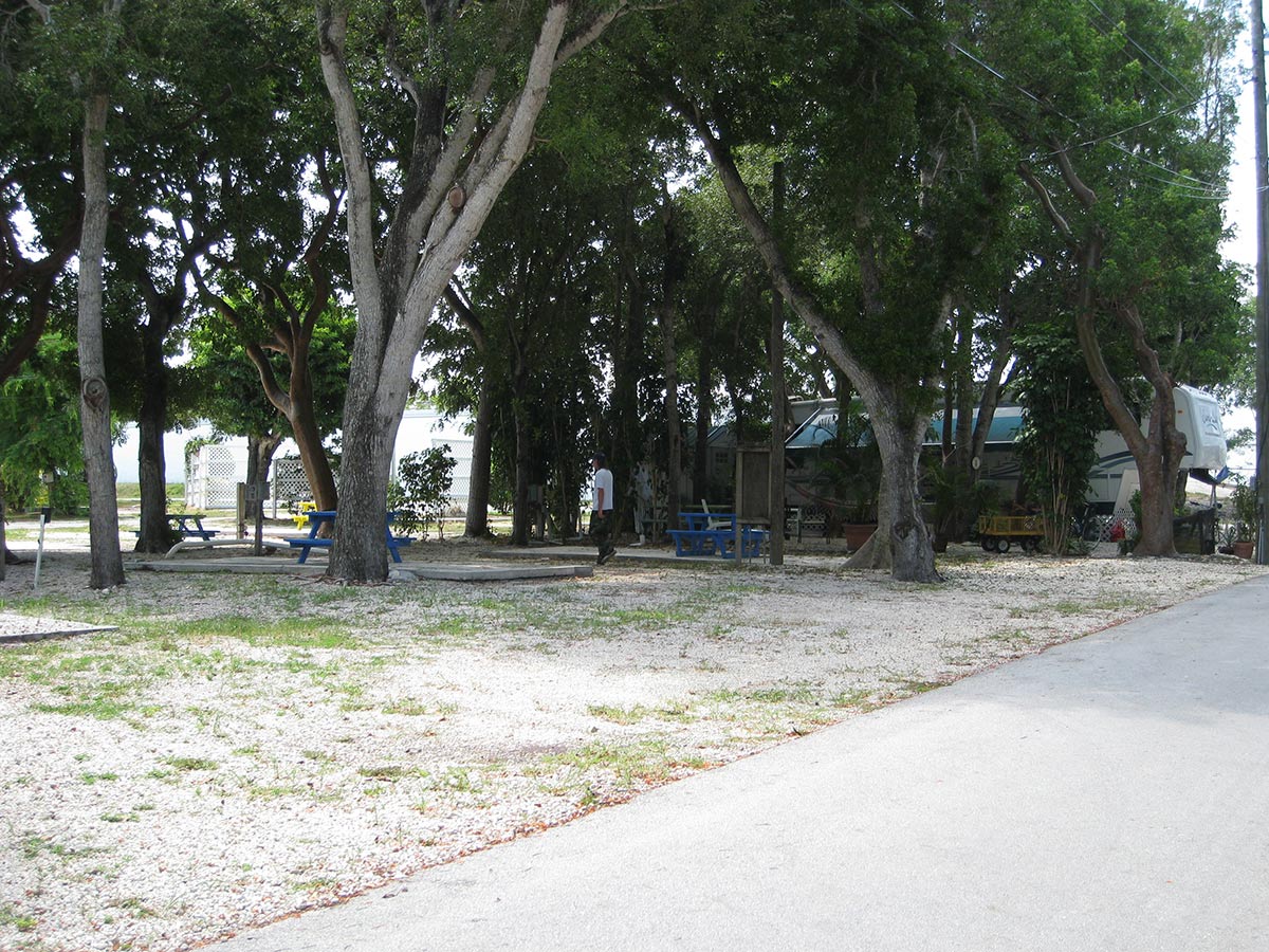 Kings Kamp tent site photo 2